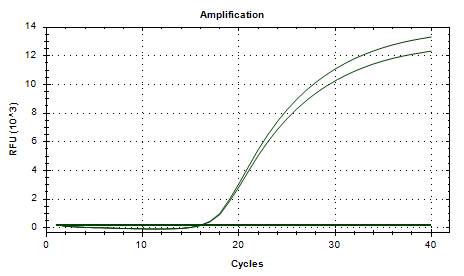 Vaginal Gardnerella Nucleic Acid Reference Material (Thermally Inactivated) (Strong Positive)-BNCC