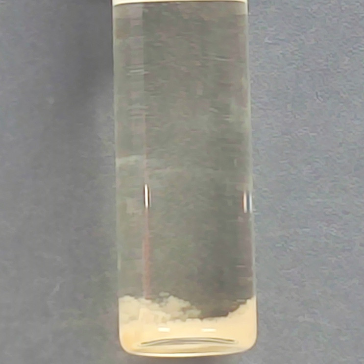 Methanococcus faecalis-BNCC