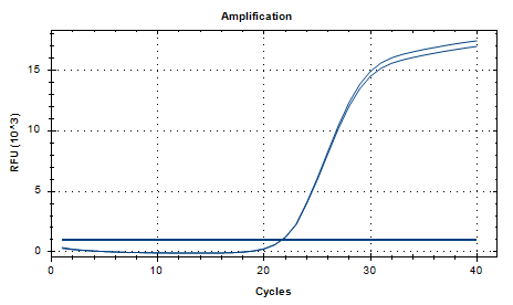 Neisseria gonorrhoeae nucleic acid reference substance (Heat-inactivated) (strongly positive)-BNCC