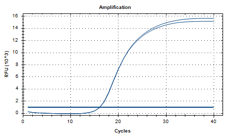 Moraxella catarrhalis nucleic acid reference substance (Heat-inactivated) (strongly positive)-BNCC