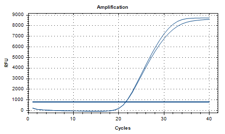Candida glabrata Nucleic Acid Reference Material (Thermally Inactivated) (Strongly Positive)-BNCC