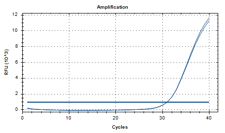 Reference substance for Aspergillus niger nucleic acid (Heat-inactivated) (strong positive)-BNCC
