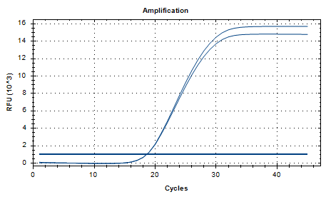 Reference substance for Aspergillus flavus nucleic acid (Heat-inactivated) (strong positive)-BNCC