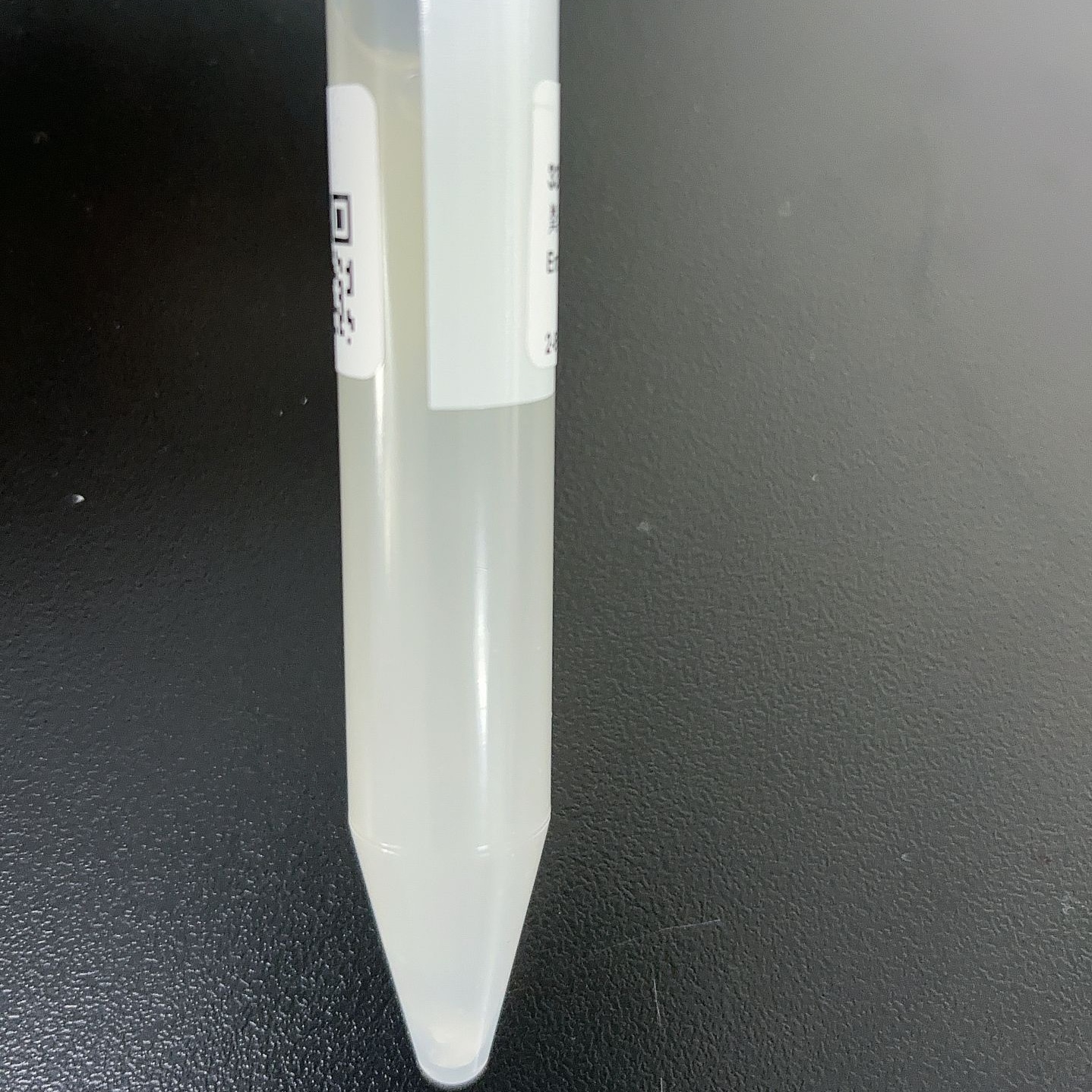 Shigella Asai-BNCC