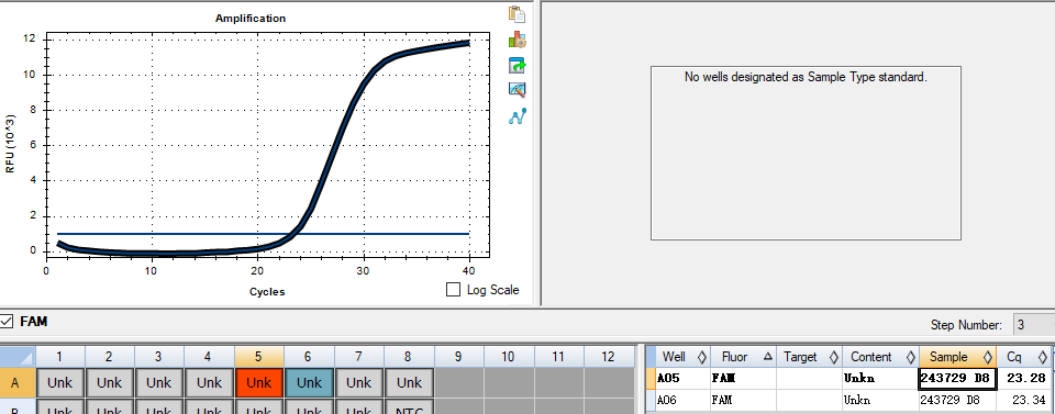 Nucleic acid detection standard for Campylobacter jejuni-BNCC