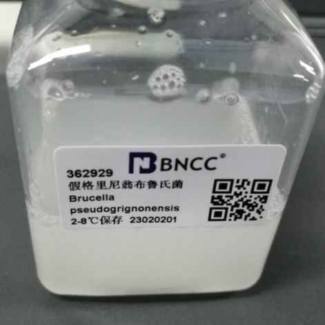 Fake Grignard Brucella-BNCC