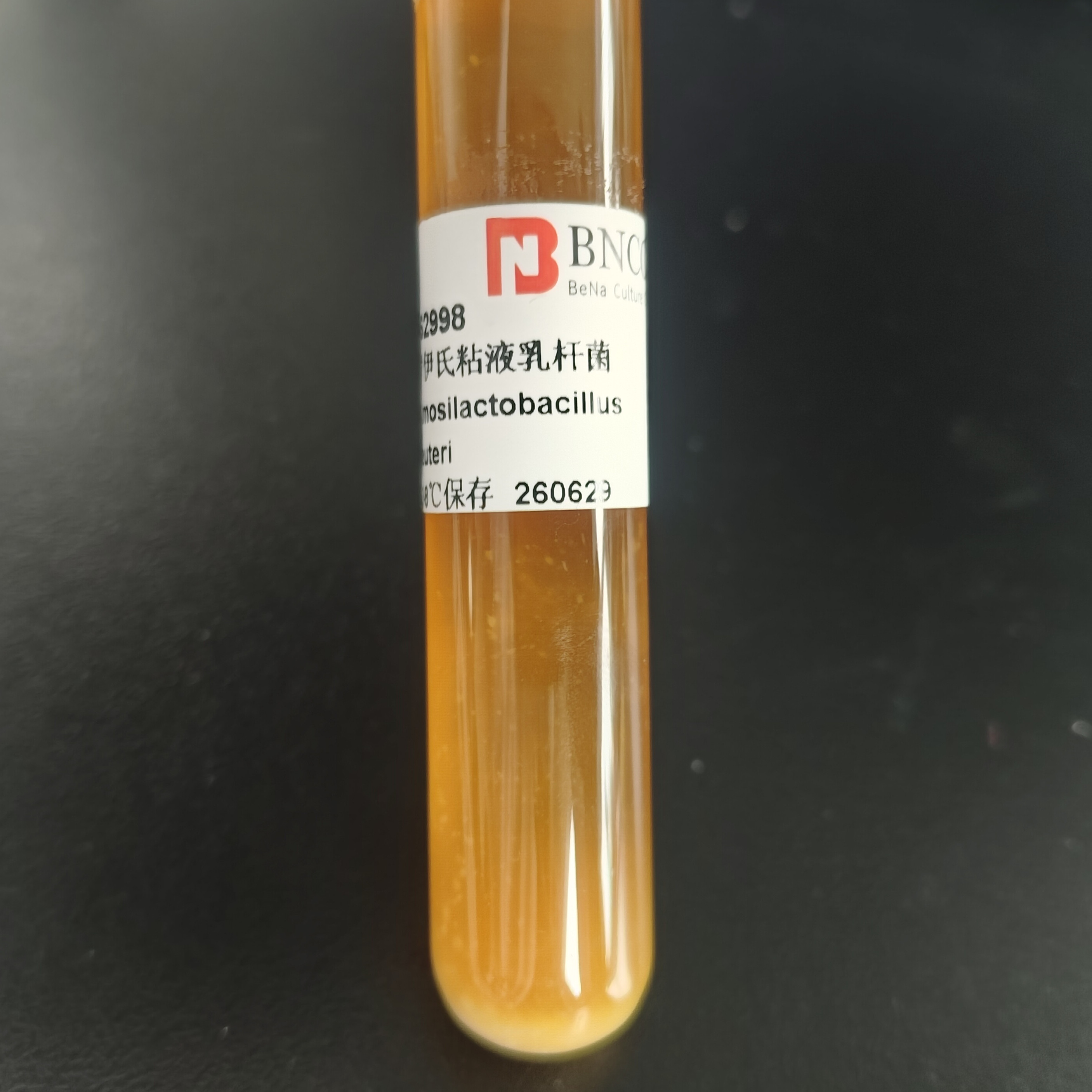 Lactobacillus rhamnosus-BNCC