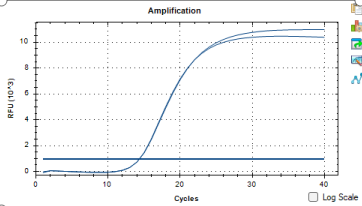 Helicobacter pylori nucleic acid reference substance (Heat-inactivated) (strongly positive)-BNCC