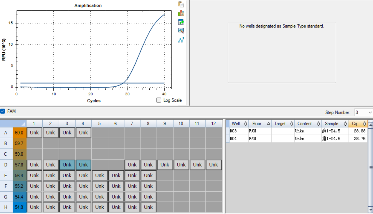 Human herpesvirus type 1 DNA standard-BNCC