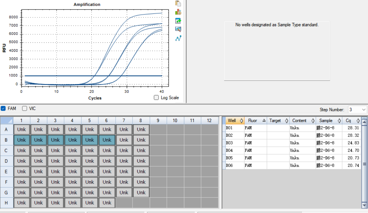 Human adenovirus type 2 DNA standard-BNCC