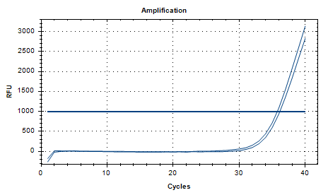 Klebsiella pneumoniae DNA standard-BNCC