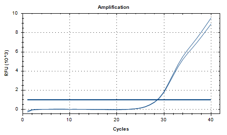 Klebsiella pneumoniae DNA Standard-BNCC