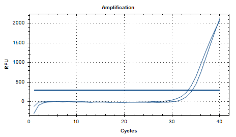 Smooth Candida DNA Standard-BNCC