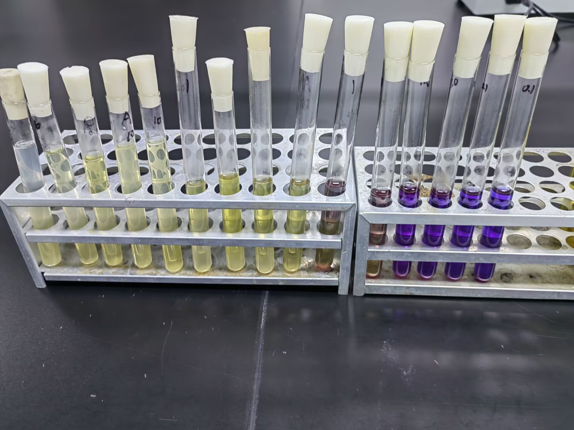 Quality control sample of seawater fecal coliforms (multi tube fermentation method)-BNCC