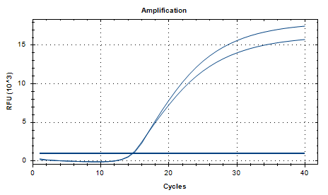 Candida albicans DNA Standard-BNCC
