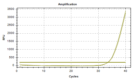 Fluorescent Pseudomonas DNA standard-BNCC