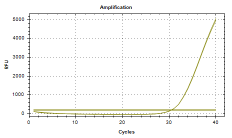 Fluorescent Pseudomonas DNA standard-BNCC