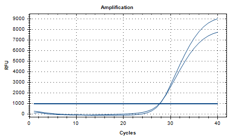Aeromonas hydrophila DNA standard-BNCC