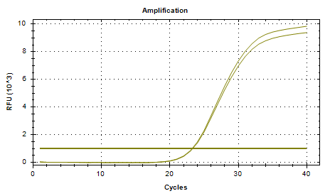Cryptococcus neoformans DNA Standard-BNCC