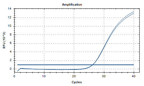 Helicobacter pylori DNA standard-BNCC