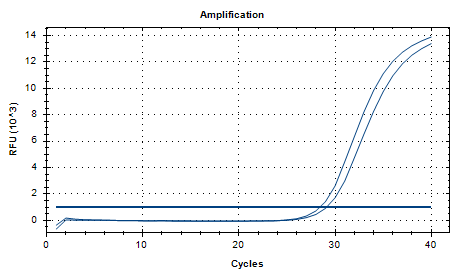 Helicobacter pylori DNA standard-BNCC