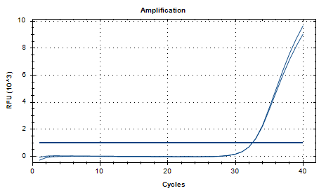 Helicobacter pylori DNA standard-BNCC