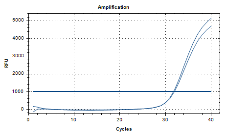 DNA standard of Haemophilus parainfluenzae-BNCC