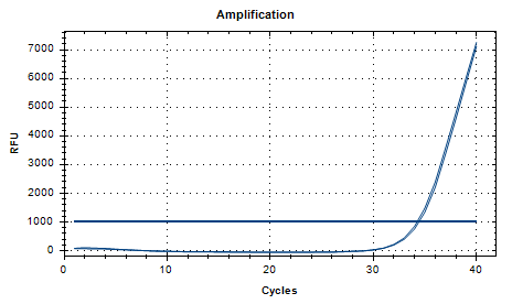 Porphyromonas gingivalis DNA standard-BNCC