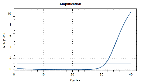 Porphyromonas gingivalis DNA standard-BNCC