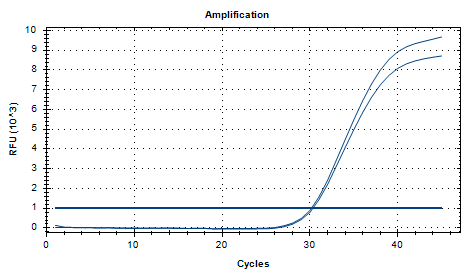 Indoor quality control material for Serratia marcescens deoxyribonucleic acid liquid-BNCC