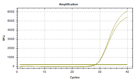 Indoor quality control product for Staphylococcus epidermidis deoxyribonucleic acid liquid-BNCC