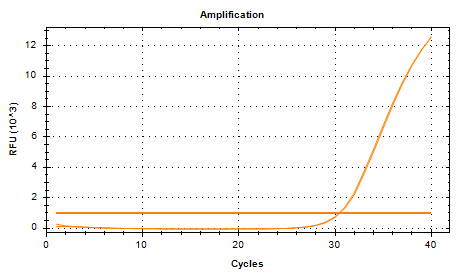 Escherichia coli DNA standard-BNCC