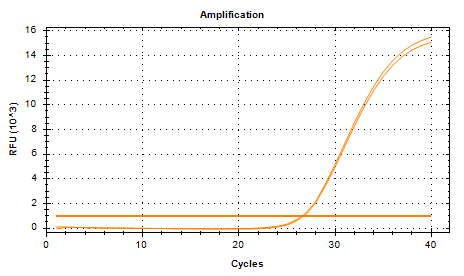 Escherichia coli DNA standard-BNCC