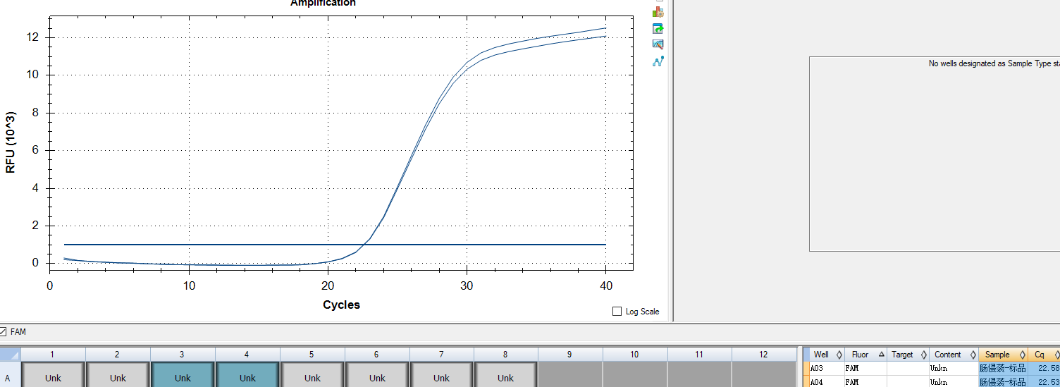 Enteral invasive Escherichia coli (EIEC) DNA standard-BNCC