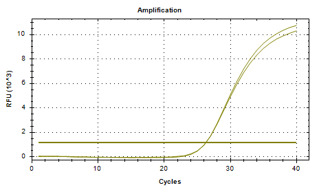 Fecal Enterococcus (VanB) DNA standard-BNCC