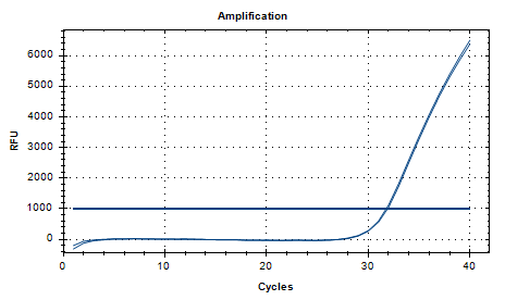 Pseudomonas aeruginosa DNA standard-BNCC