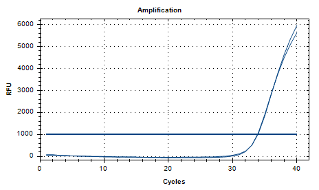 Stenotrophomonas maltophilia DNA Standard-BNCC