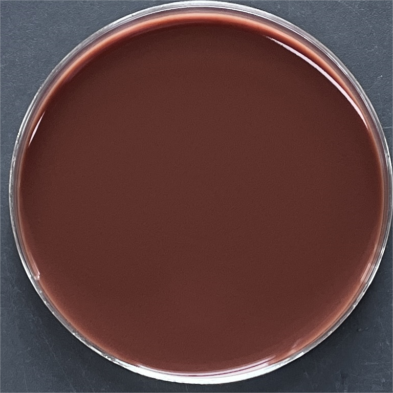 Haemophilus influenzae DNA Liquid Internal Quality Control Material-BNCC