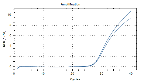 Indoor quality control product for liquid deoxyribonucleic acid of Haemophilus influenzae-BNCC