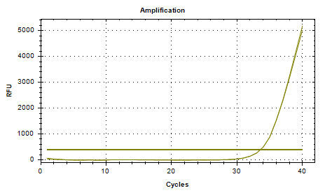 Indoor quality control product of Cryptococcus neoformans deoxyribonucleic acid liquid-BNCC