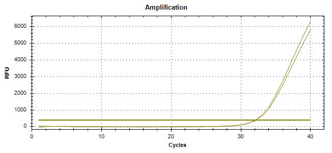 Indoor quality control product of Cryptococcus neoformans deoxyribonucleic acid liquid-BNCC