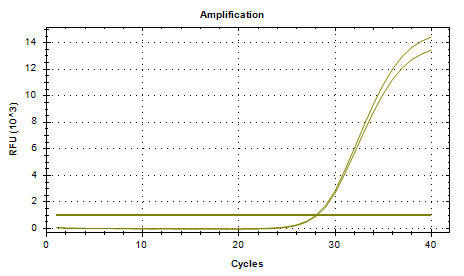 Cryptococcus neoformans DNA Liquid Internal Quality Control Material-BNCC