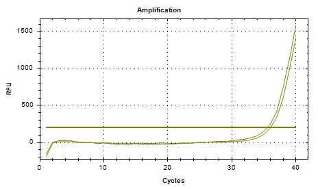 Baumann Acinetobacter DNA standard-BNCC