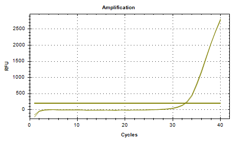 Baumann Acinetobacter DNA standard-BNCC