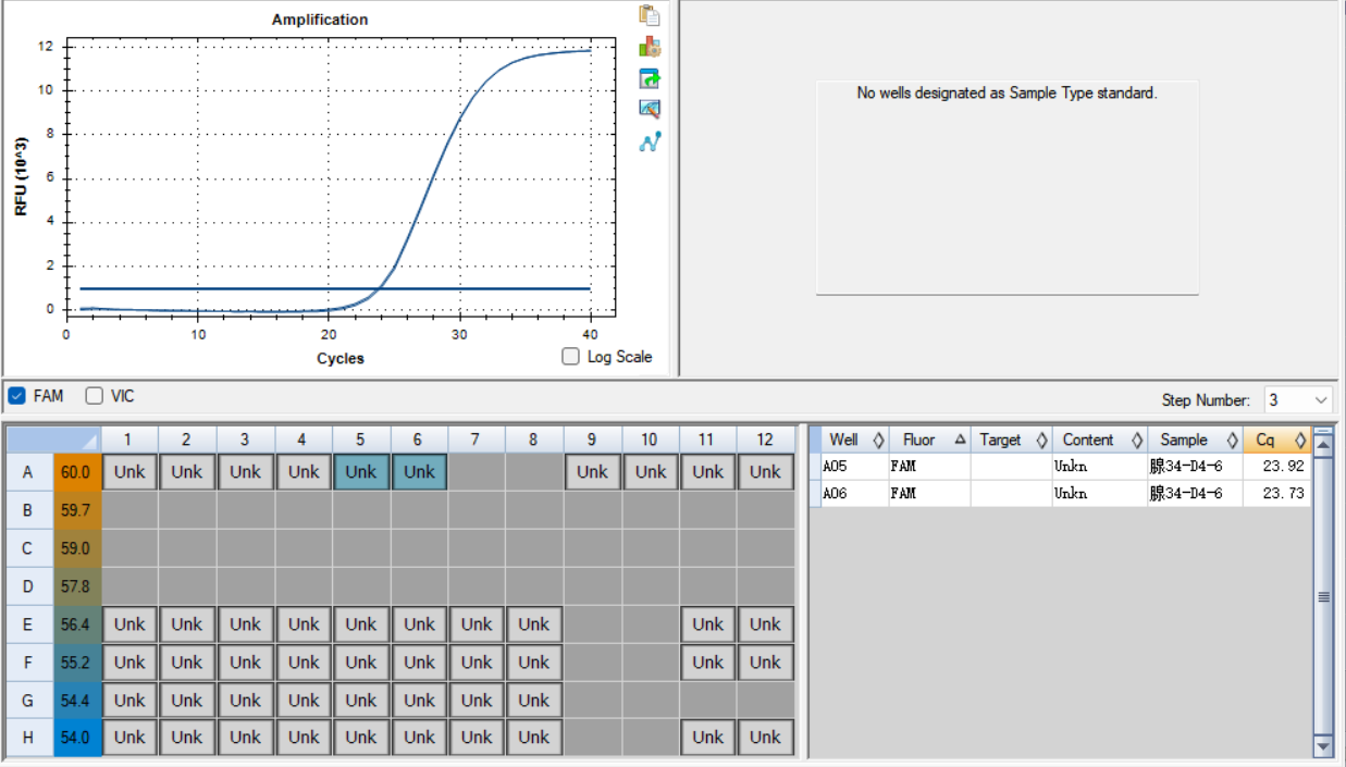 Human Adenovirus 34 Nucleic Acid DNA Standard-BNCC