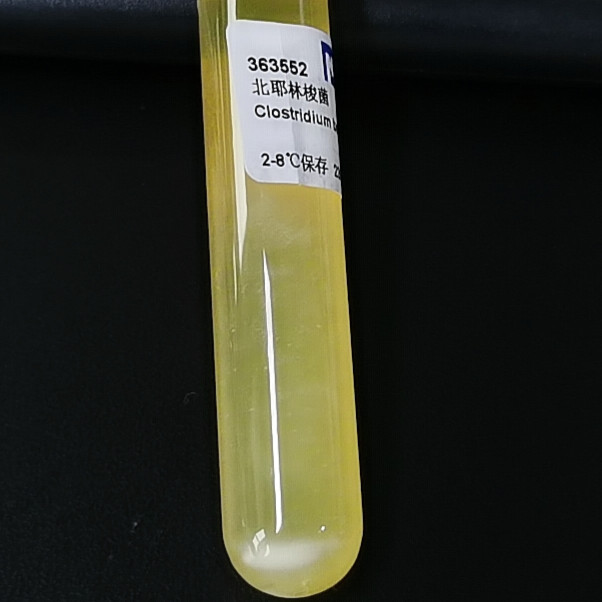 Clostridium perfringens-BNCC