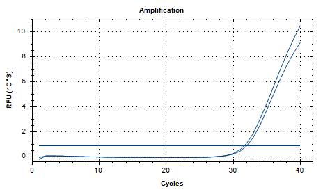 Aspergillus niger DNA Liquid Internal Quality Control Material-BNCC