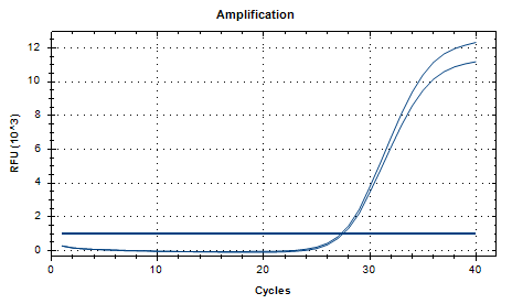 Aspergillus niger DNA Liquid Internal Quality Control Material-BNCC