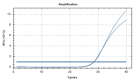 Aspergillus fumigatus DNA Liquid Internal Quality Control Material-BNCC