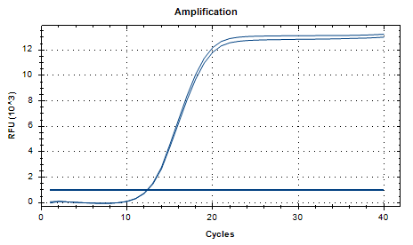 Bordetella parapertussis Nucleic Acid Reference Material (Thermally Inactivated) (Strongly Positive)-BNCC